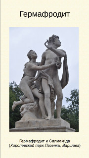 Гермафродит